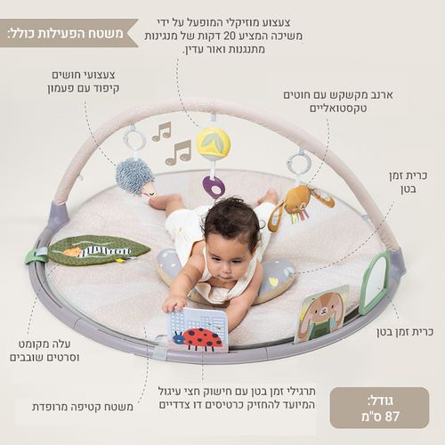 אוניברסיטת פעילות זמן בטן