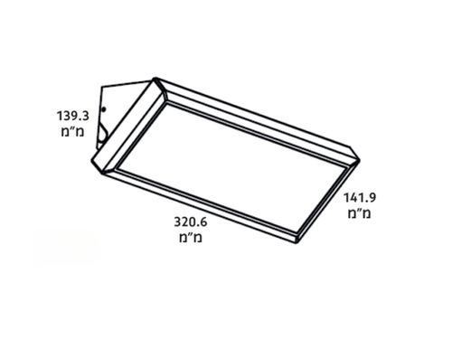 תמר