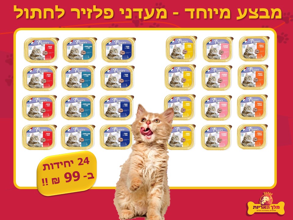 מבצע משתלם! 24 מעדן לחתול פלזיר במחיר מנצח