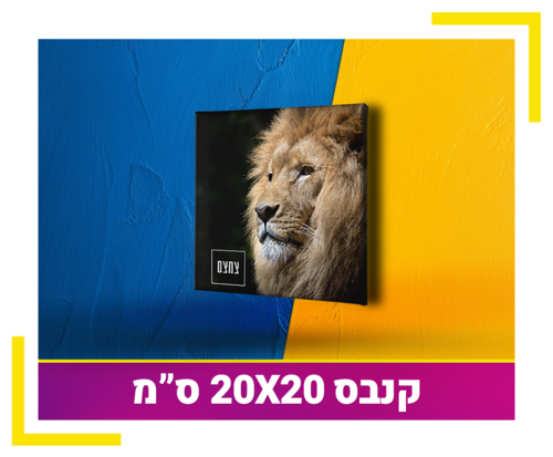 קנבס 20X20