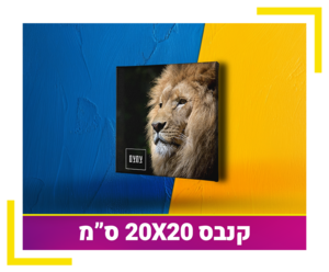 קנבס 20X20