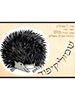 שמוליקיפוד דפים עבים