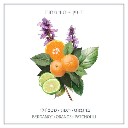 ישרוטל דיזיין  - מפיץ ריח ארומטי LIA 500 מ