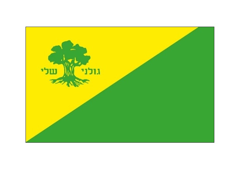 דגל חטיבת גולני.