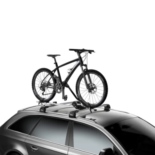 Thule ProRide מנשא גגון 598 כסוף-שחור - בלילה ניסים