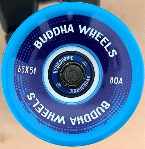 HYDROPONIC BUDDHA BLUE WHEELS 65MM 80A