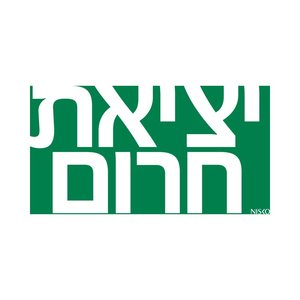תמונה 1