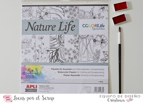 מארז דפי צביעה בגודל 30*30 , 6 דוגמאות  APLI NATURE LIFE