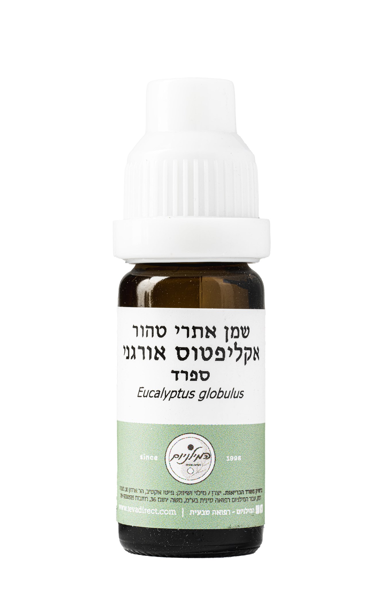 שמן אתרי טהור אקליפטוס ספרד 10 מ"ל | Eucalyptus globulus