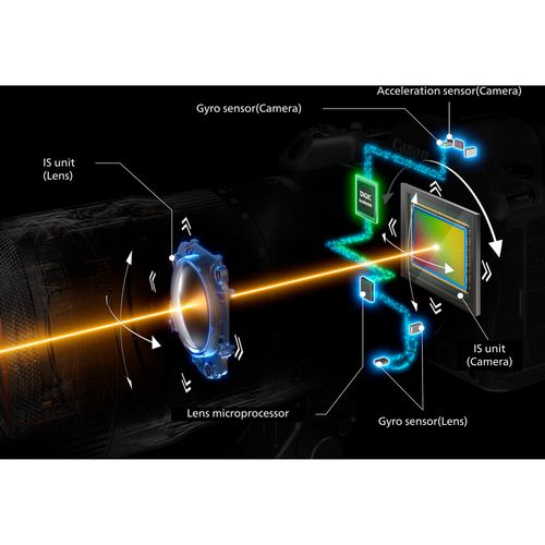 מצלמה Canon EOS R5 Mark II Body גוף בלבד