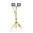 פנסי הצפה עם חצובה WORKER 50Wx2 אור קר NISKO