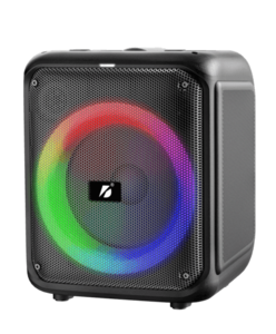בידורית Bluetooth עם מיקרופון אלחוטי