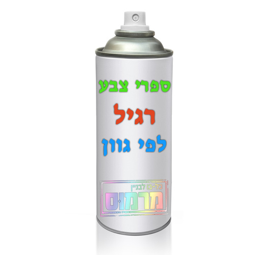 ספריי צבע רגיל - גוון לבחירה