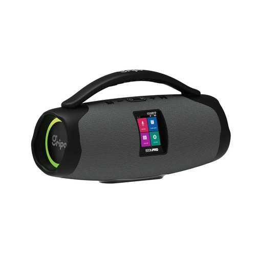 רמקול גריפו BOOMPRO משולב נגן 40W