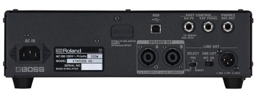 זוית נוספת Boss Katana-500 Bass Head