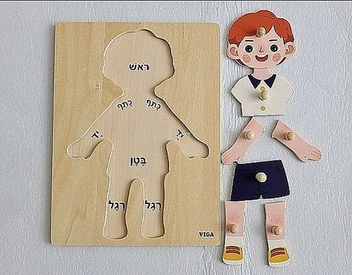 משחק לימודי חלקי גוף