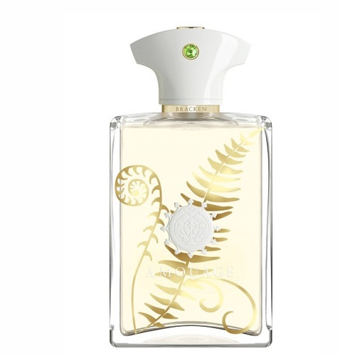 בושם לגבר Amouage Bracken EDP 100 ml