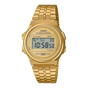 WEG  A171 CASIO