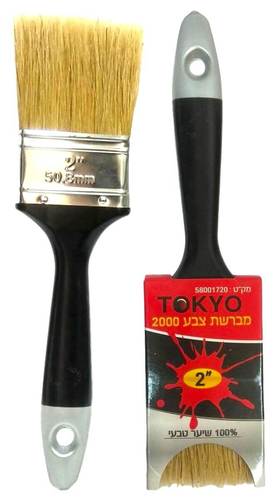 מברשת צבע 