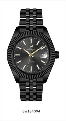 CW184004