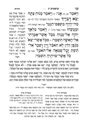 דוגמה מתוך נביאים מאירים