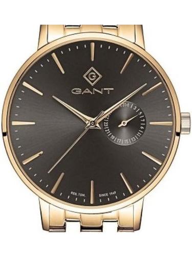 GAnt g105010
