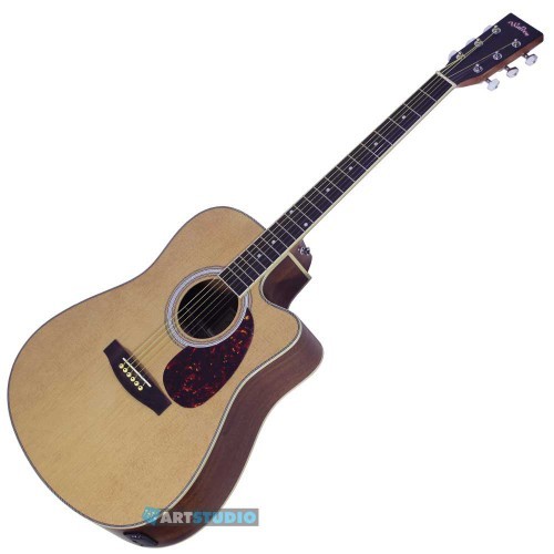 WD AG450C