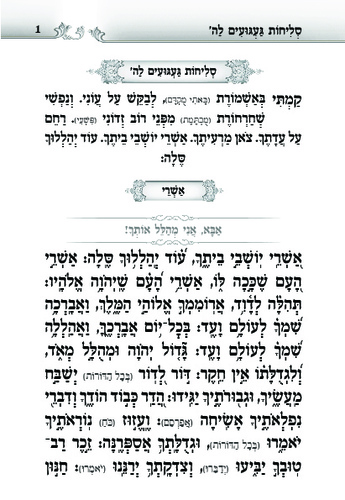 דוגמה מתוך הסליחות געגועים להשם