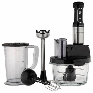 מעבד מזון 48533 Morphy richards מורפי ריצ'רדס