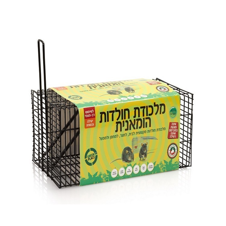 מלכודת חולדות הומנית