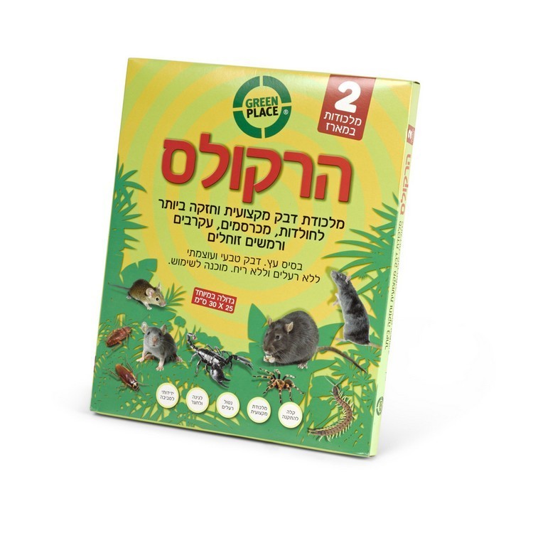 הרקולס מלכודת דבק ללכידת מכרסמים בסיס עץ