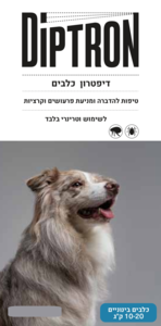 דיפטרון אמפולה לכלב בינוני 10-20 ק"ג