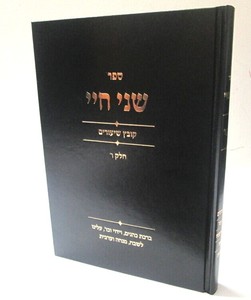 שני חיי חלק ו
