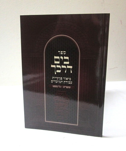 בים דרכך - שובבים - ט