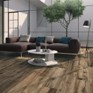 JAZZ OAK 23/120