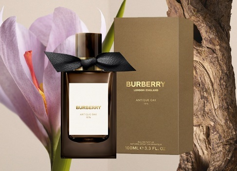 בושם יוניסקס Burberry Antique Oak EDP 100ml