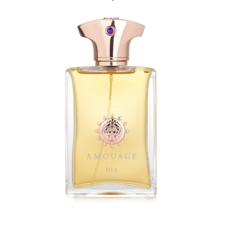 בושם לגבר Amouage Dia Man EDP 100ml