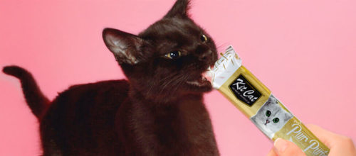 קיט קט Kit Cat לחתול שלוקים עוף מועשר בסיבים (היירבול) 60 גרם