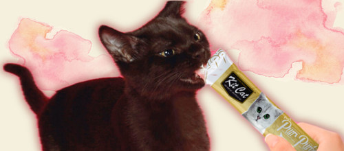קיט קט Kit Cat לחתול שלוקים טונה וחמוציות לבעיות בדרכי השתן 60 גרם