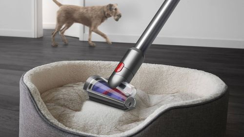 ‏שואב אבק עומד Dyson V12 Detect Slim Absolute SV46 NEW דייסון