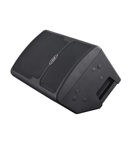 רמקול PVX-10