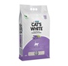 קטס וויט חול מתגבש בניחוח לבנדר 10 ליטר CAT'S WHITE