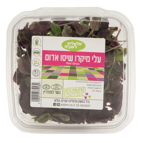 מיקרו שיסו
