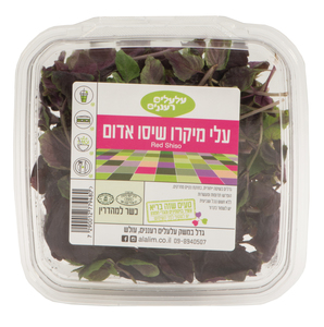 מיקרו שיסו