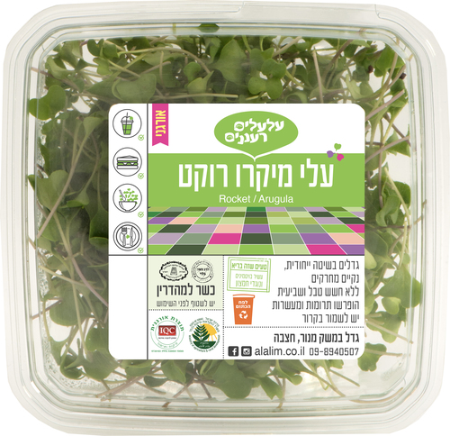 מיקרו רוקט