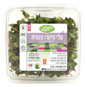מיקרו צנונית