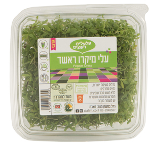 עלי מיקרו רשאד