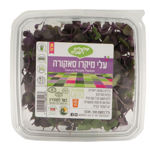 עלי מיקרו סאקורה