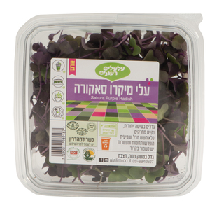 עלי מיקרו סאקורה