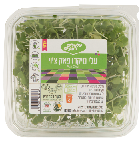 עלי מיקרו פקצוי